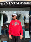 Felpa Red Wings A10